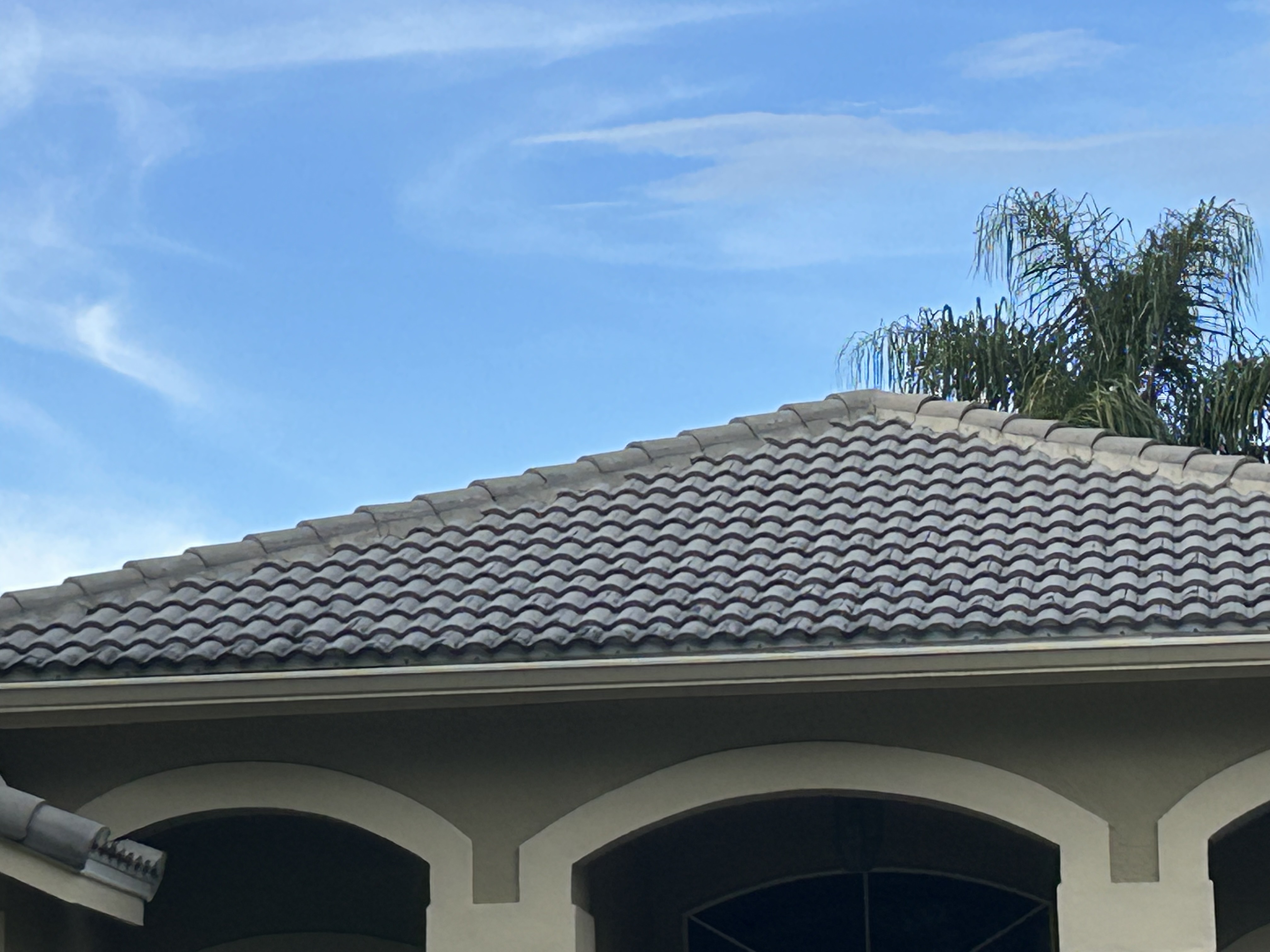 Image of lavados a precion in Tampa