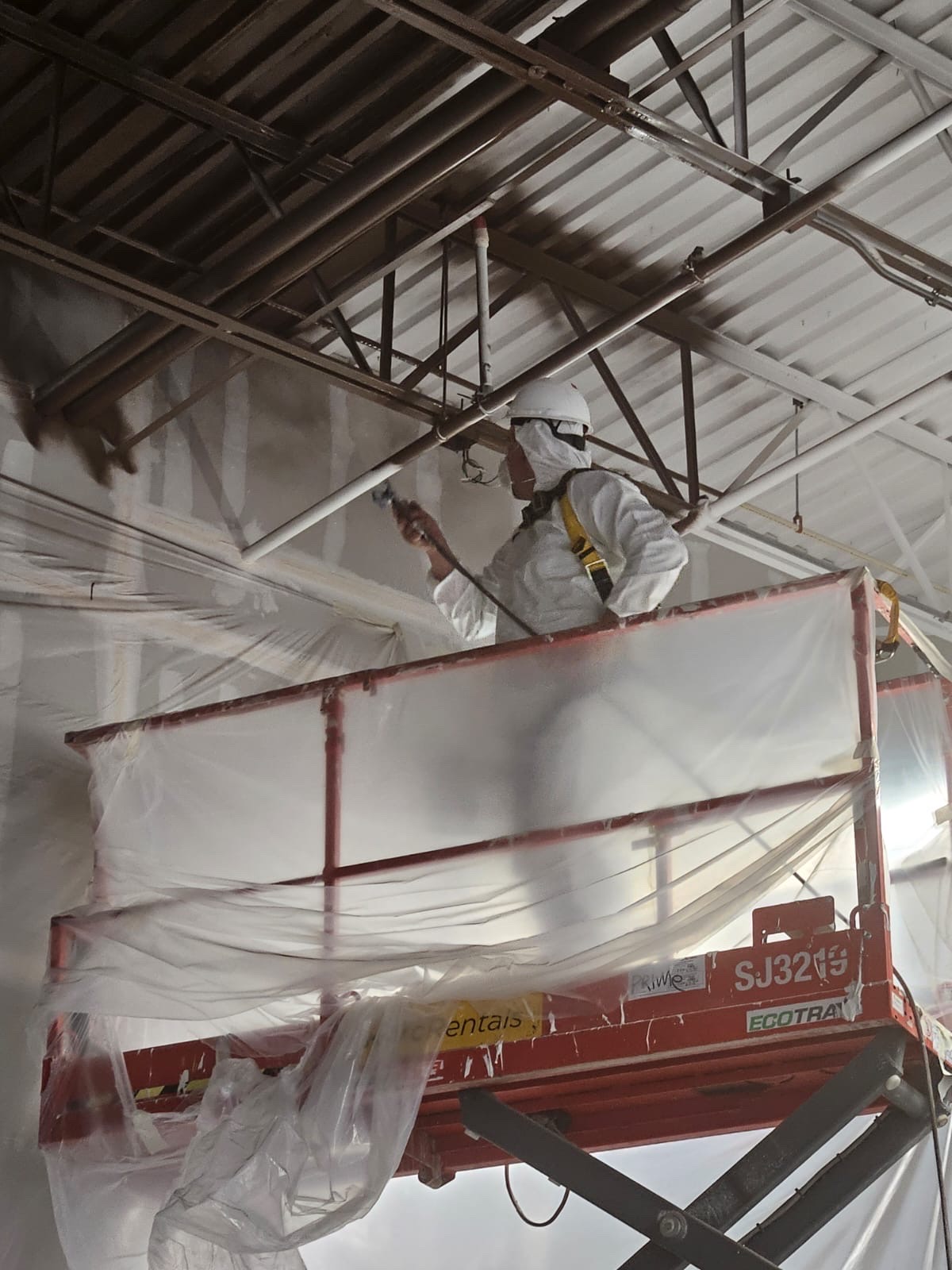 Image of painting in homestead