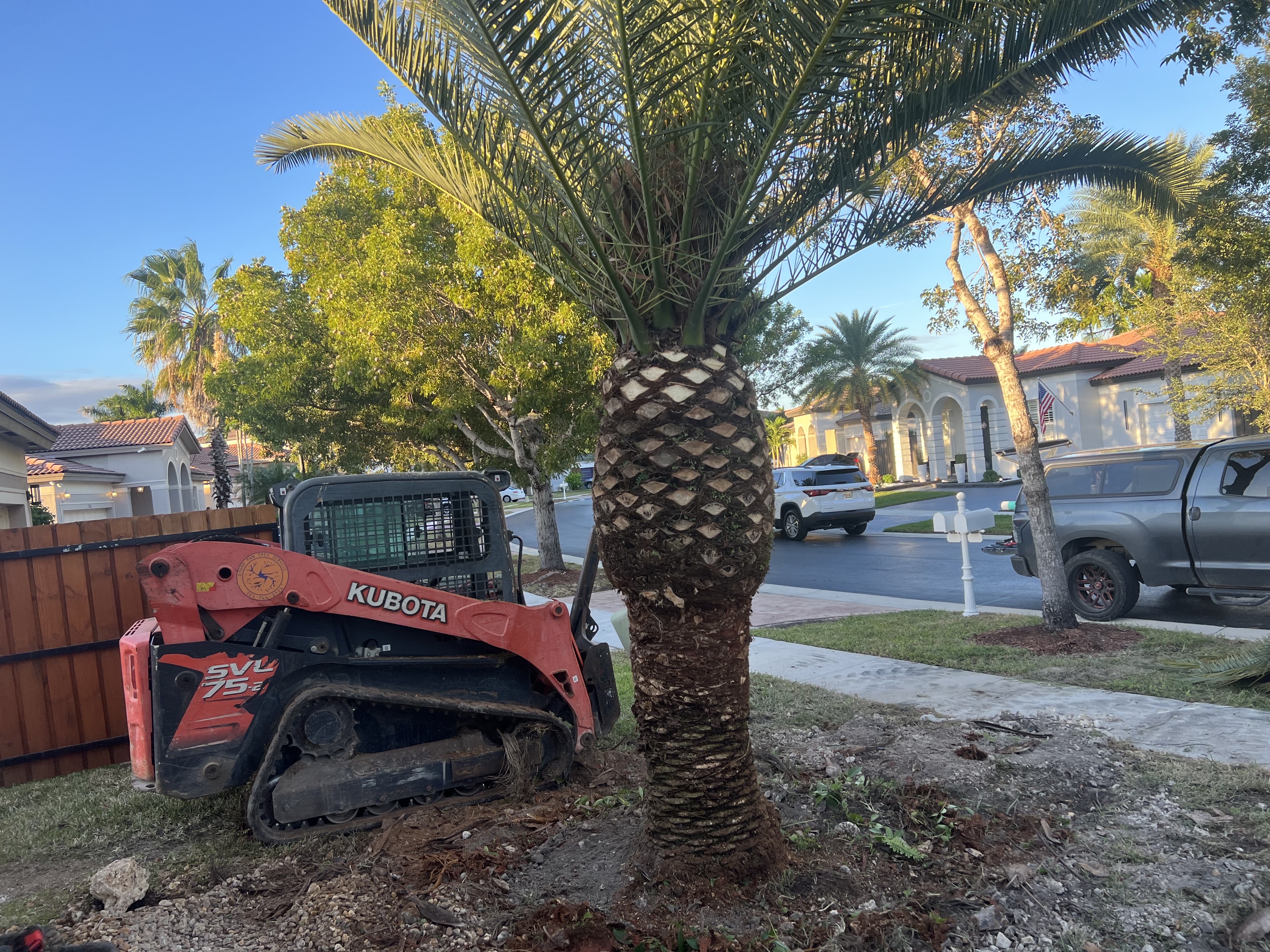 Image of Tree Service Bobcat Service in Homestead