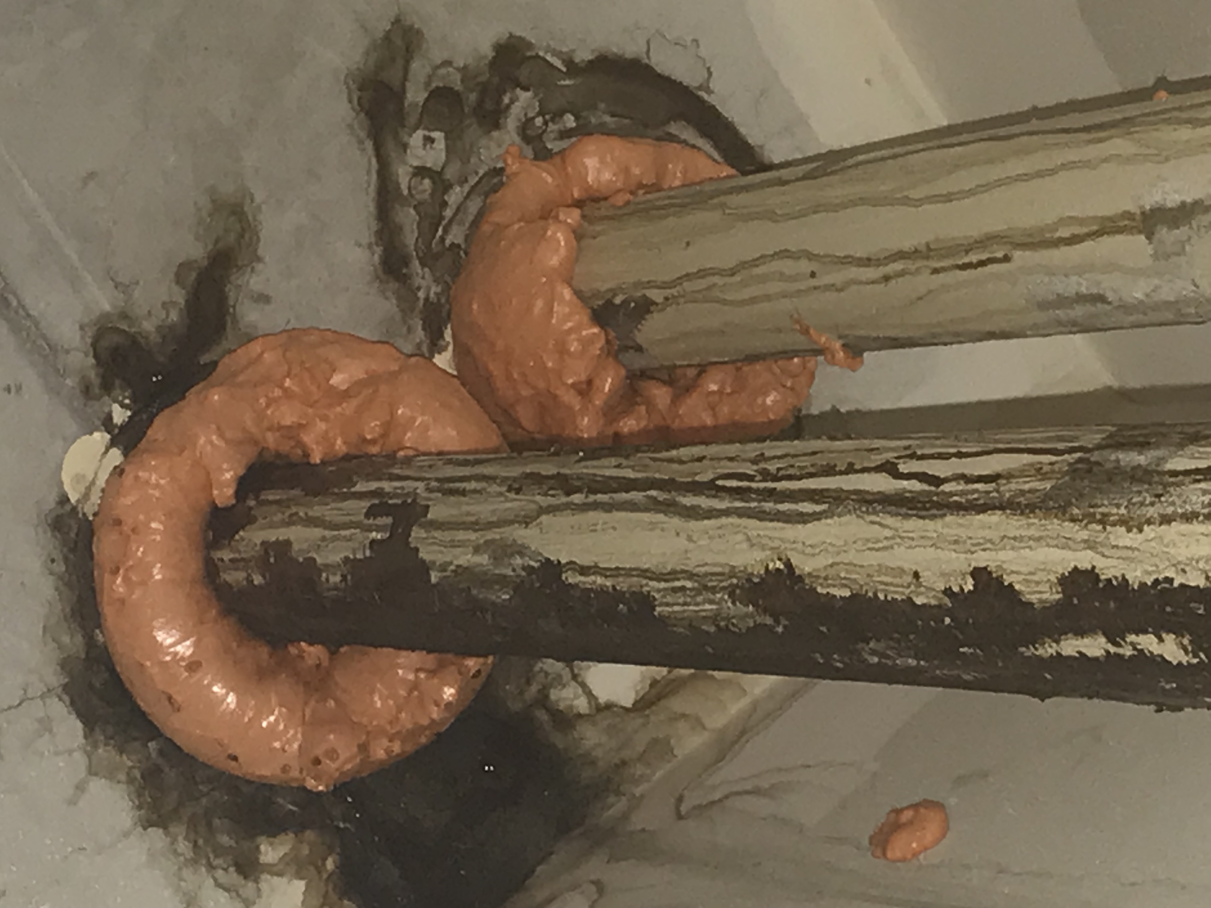 Image of Plumbing in Miami