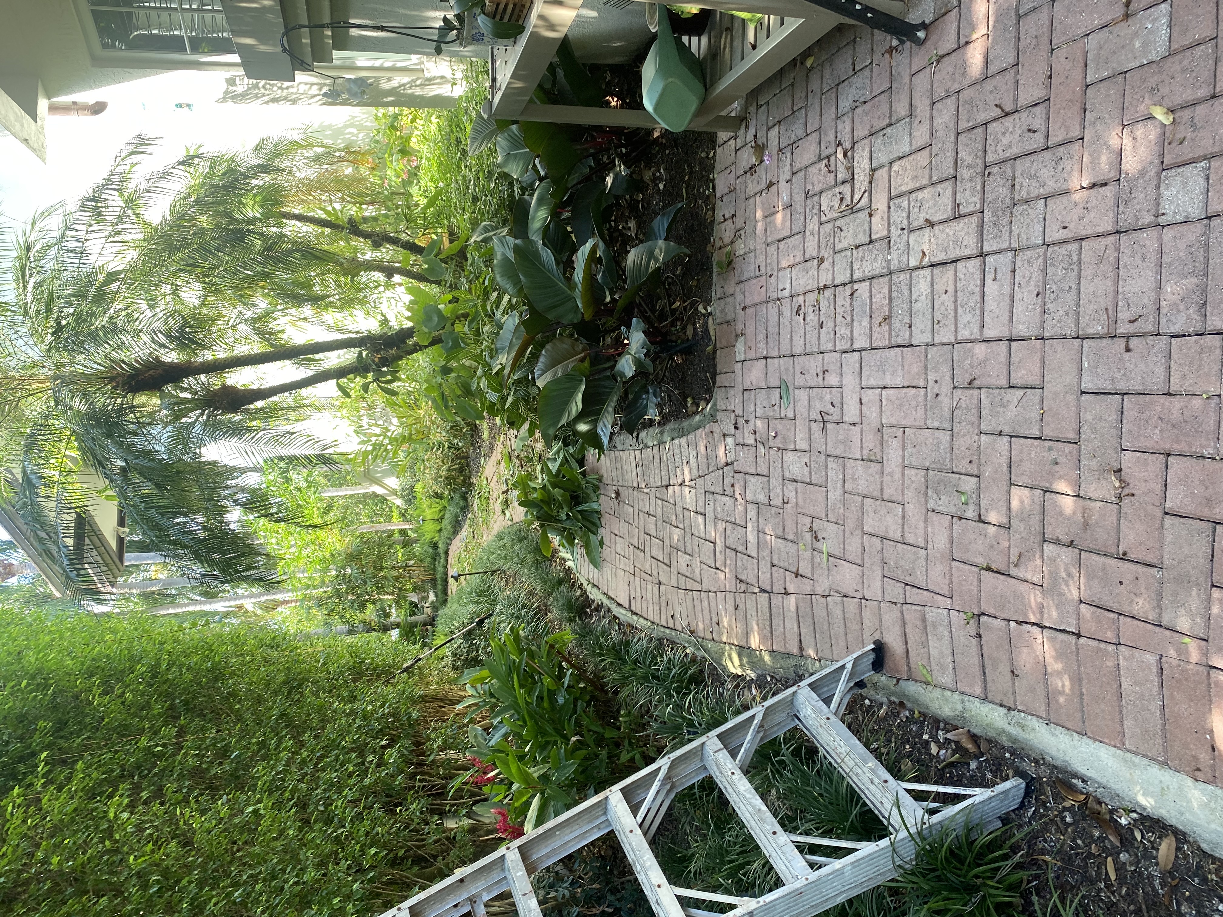 Image of EverLux Landscaping in Fort Lauderdale