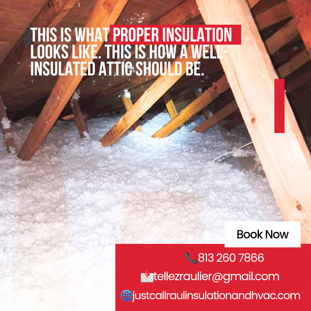Image of Insulation in Tampa