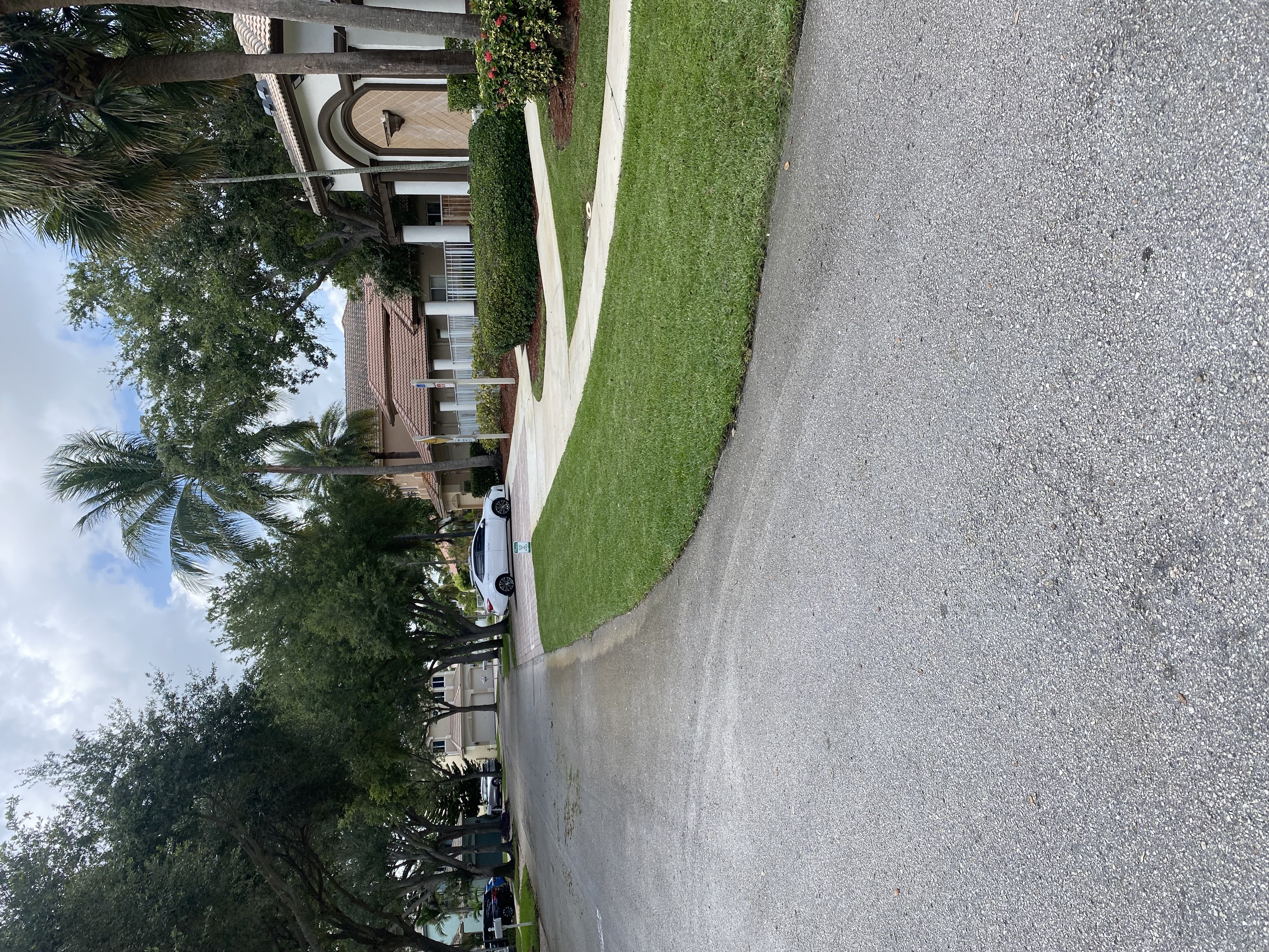 Image of trimming in Miami