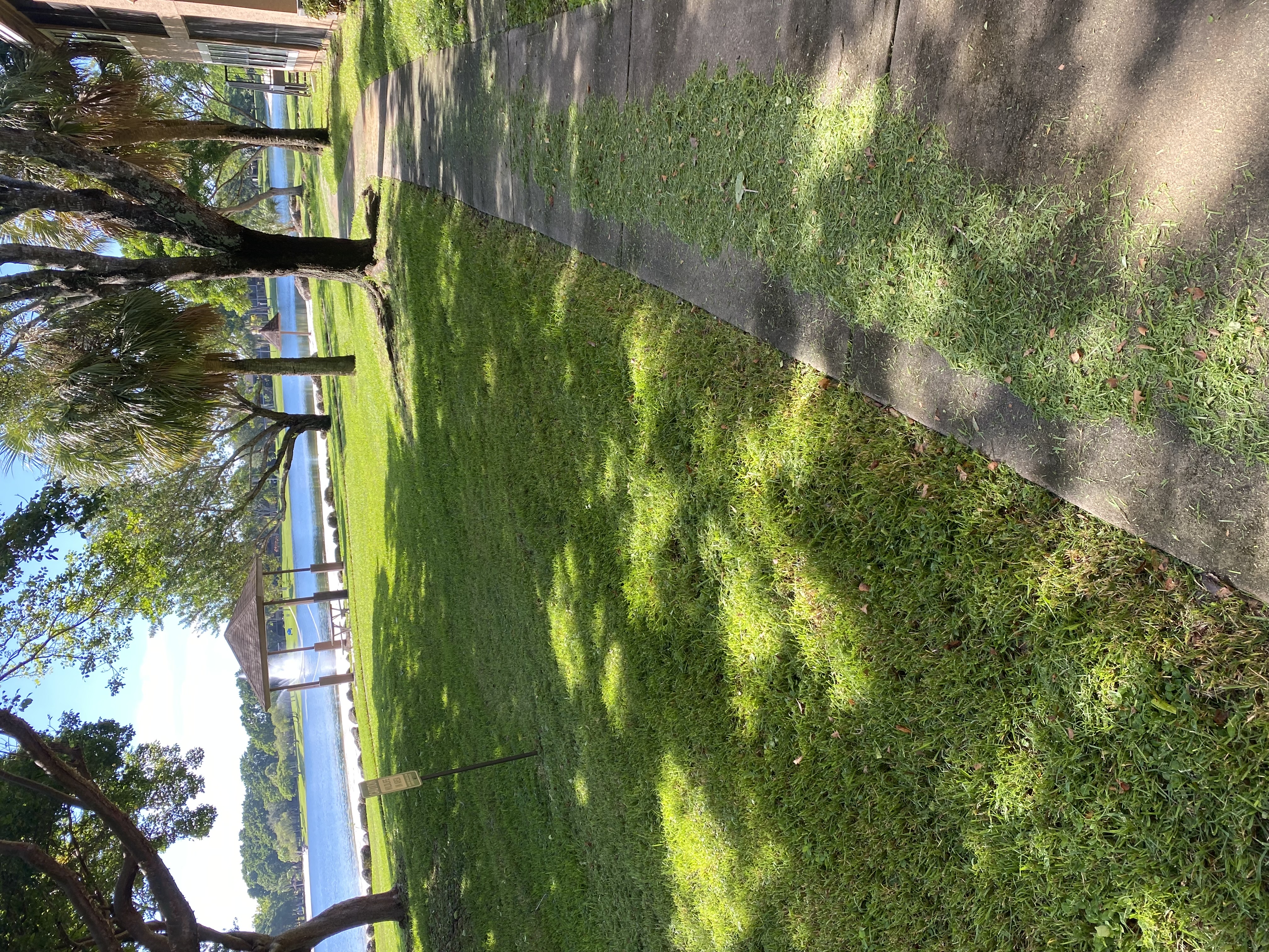 Image of EverLux Landscaping in Fort Lauderdale