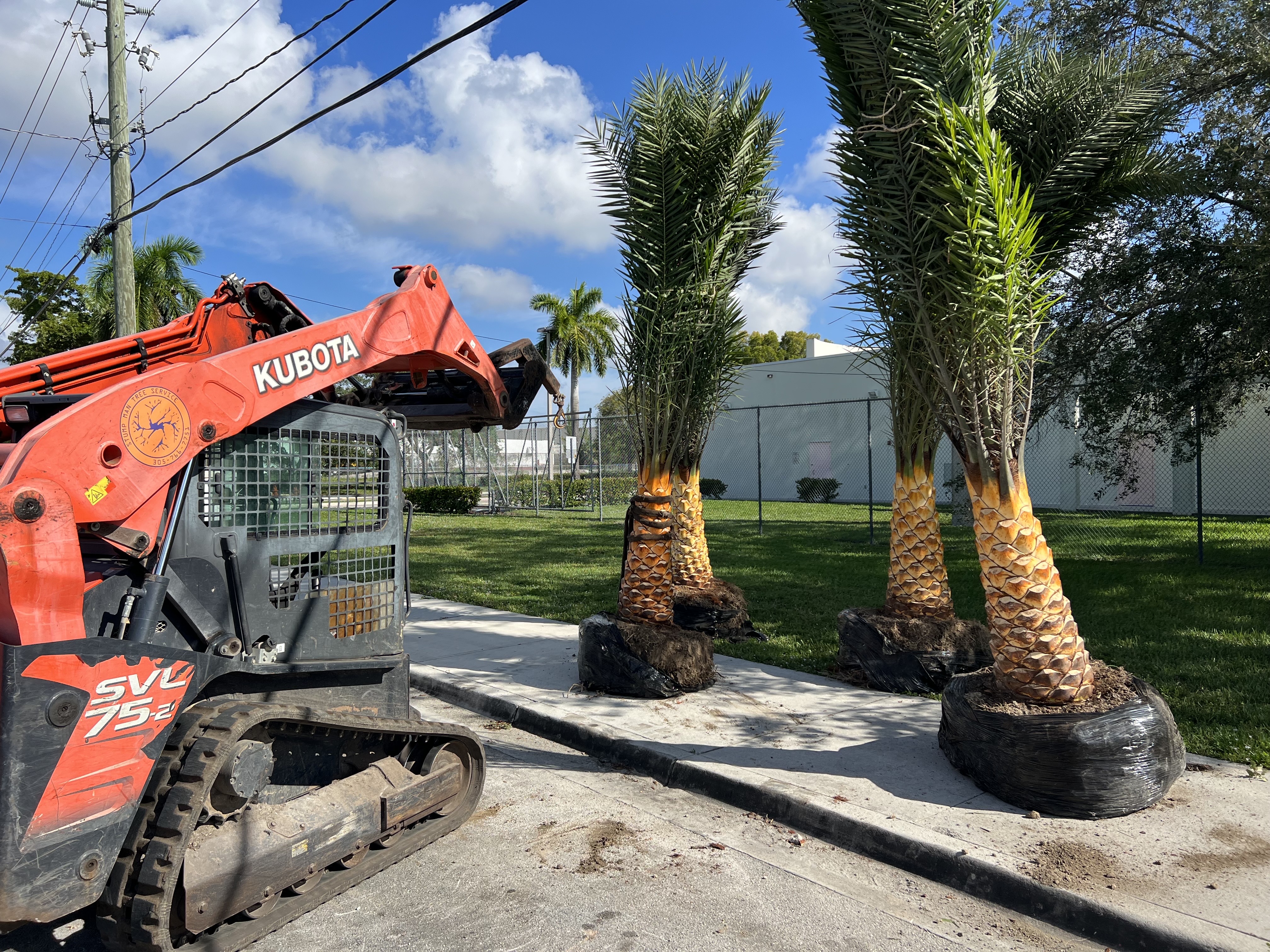 Image of Tree Service Bobcat Service in Homestead