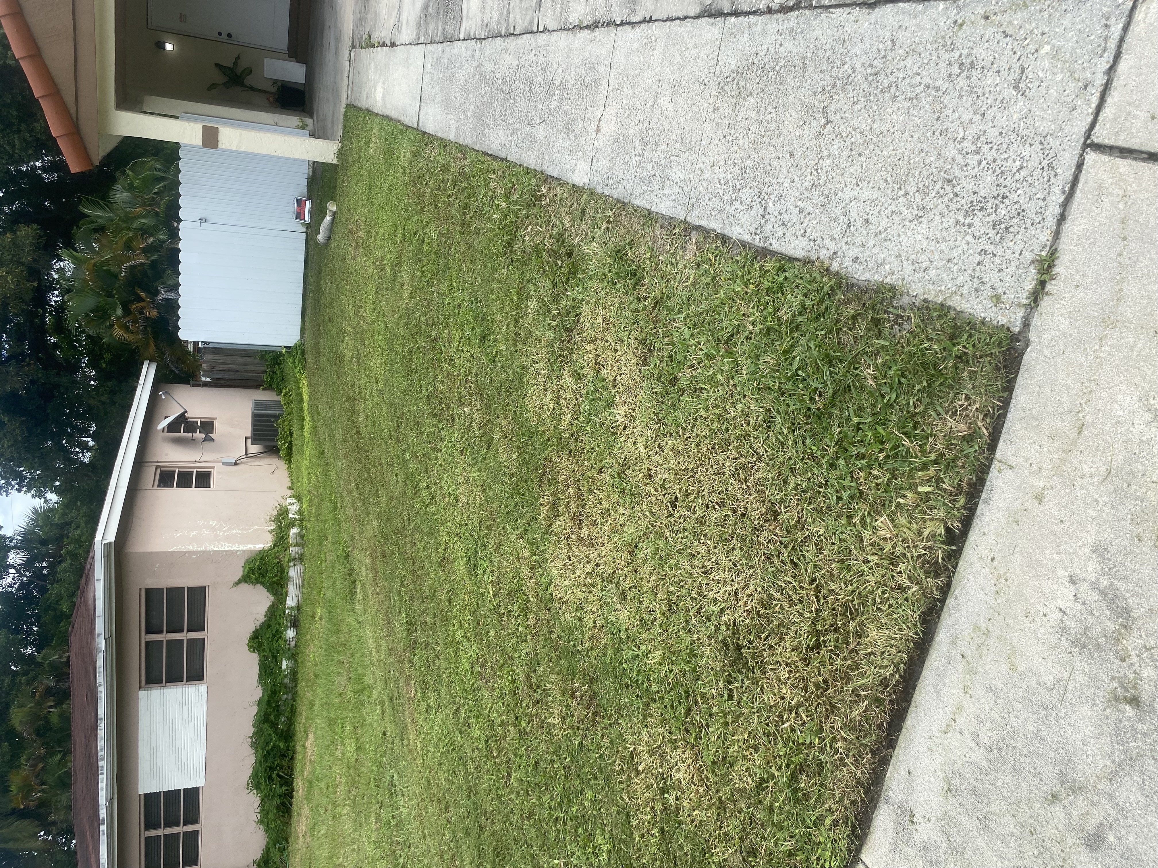 Image of EverLux Landscaping in Fort Lauderdale