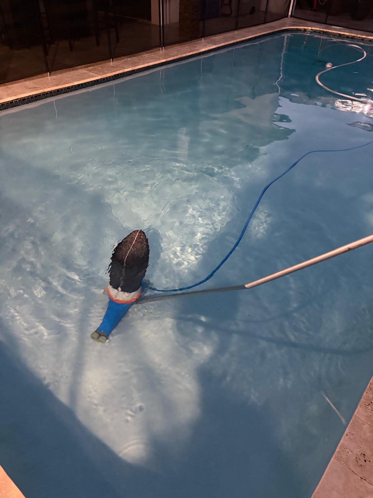 Image of Pool services  in miami dade 