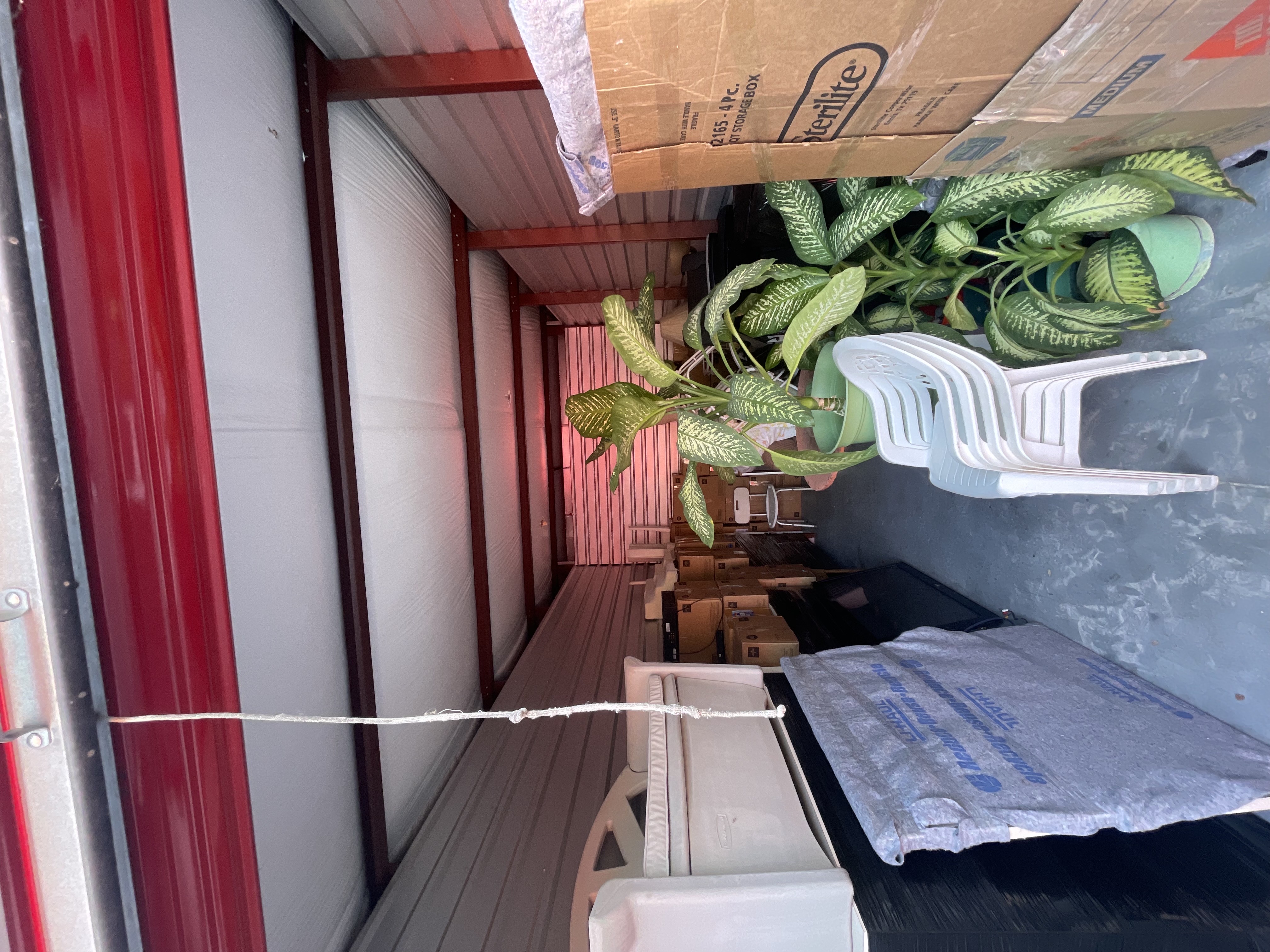 Image of Moving Martell in homestead