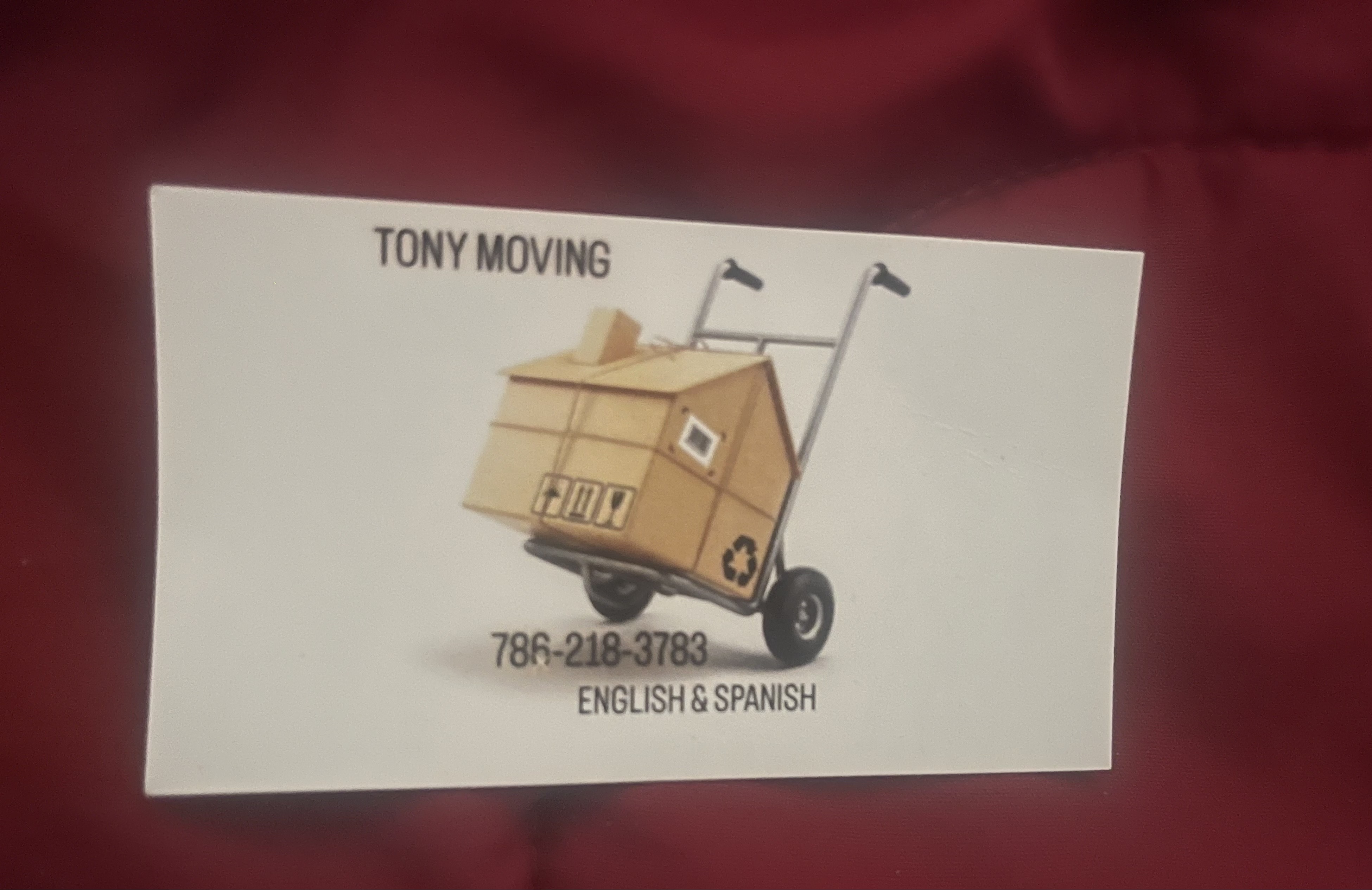Image of MOVING in Miami
