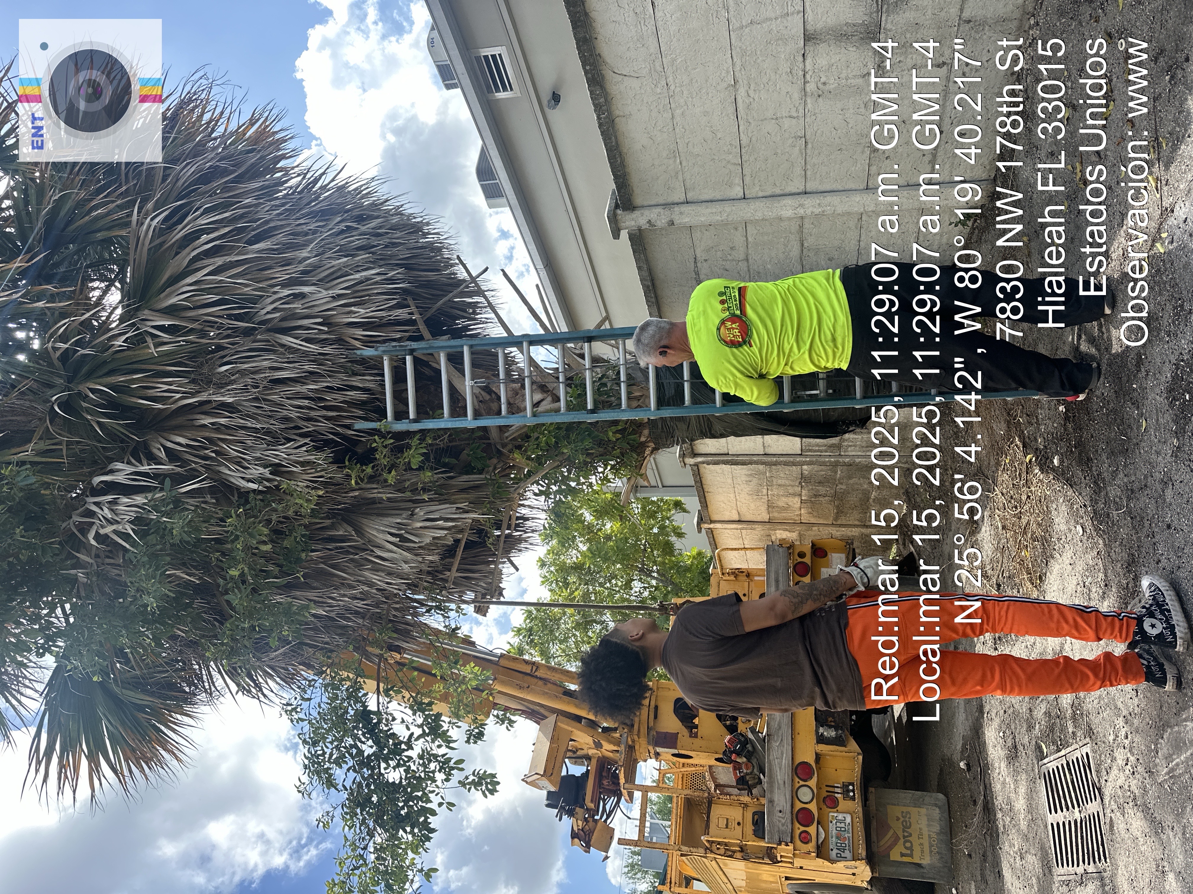 Image of jardinería in Miami Lakes. homestead