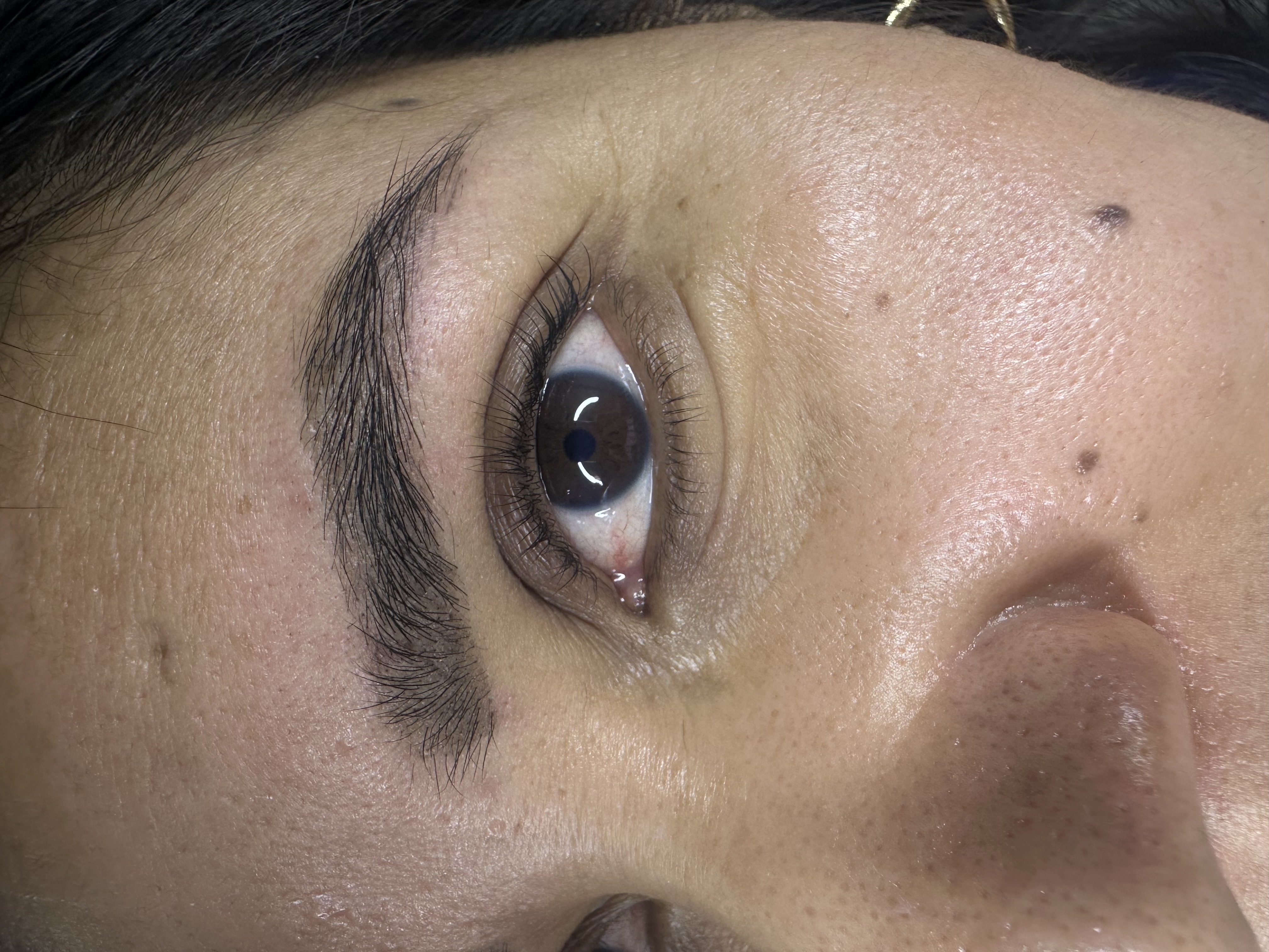 Image of Micropigmentacion | Especialista en Faciales | Diseño y depilación de cejas 📍Golden Gate Estates in Naples