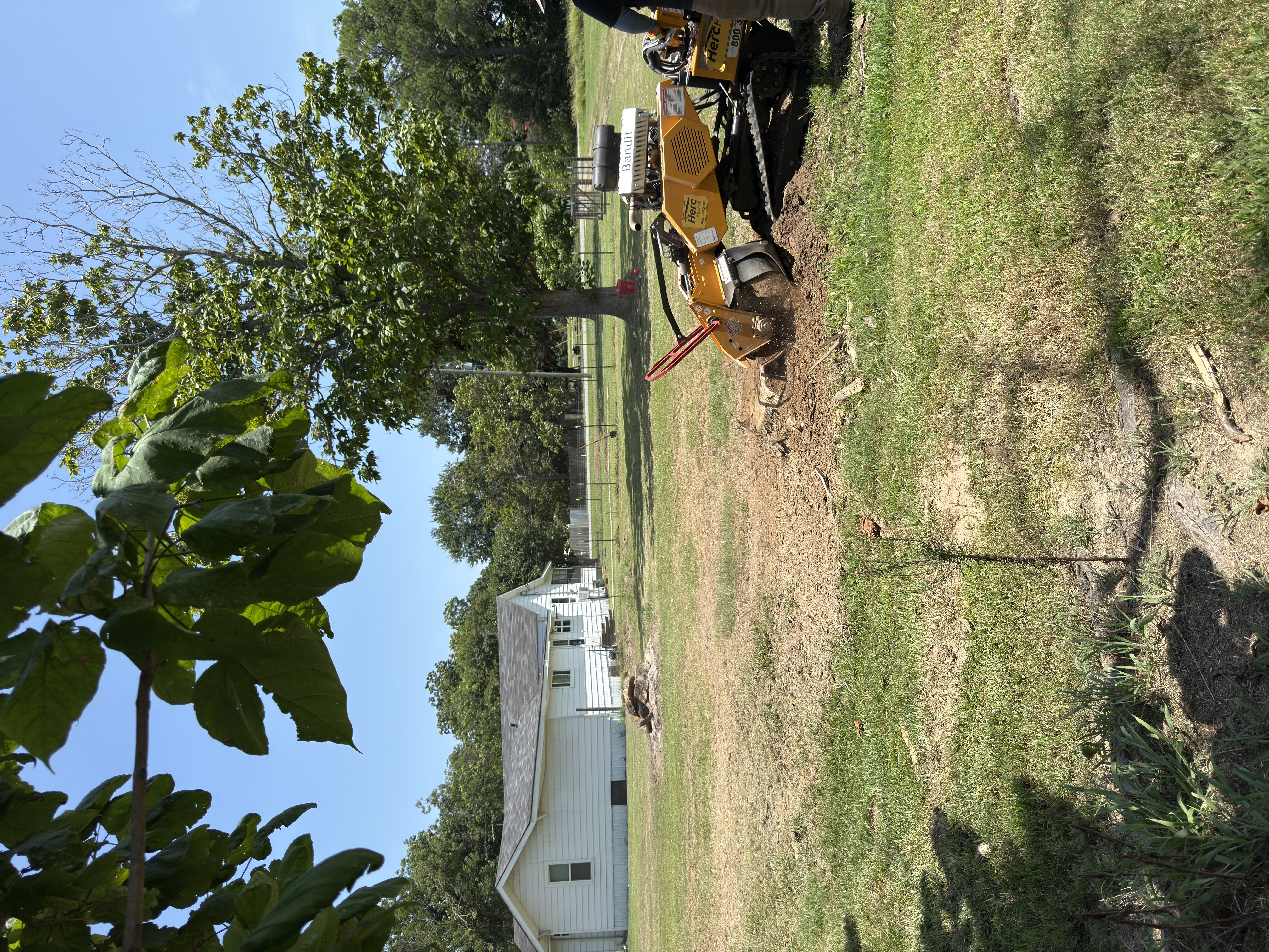 Image of FIVE ROOTS TREE SERVICE in Warren