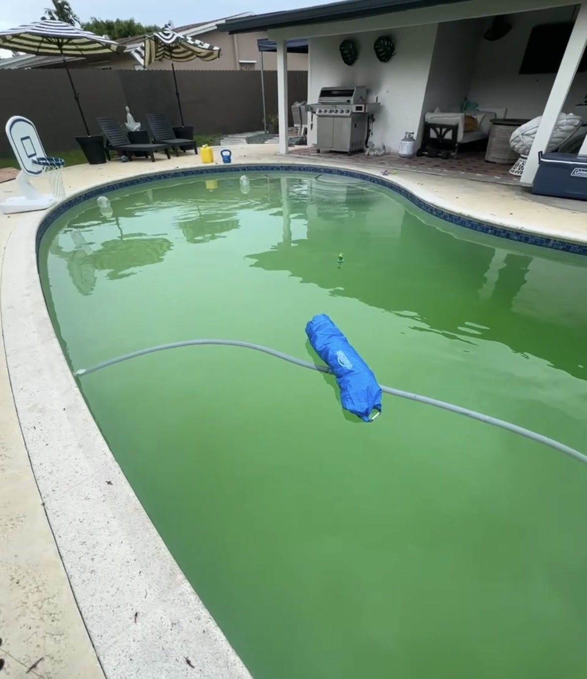 Image of Pool Maintenance in Miami