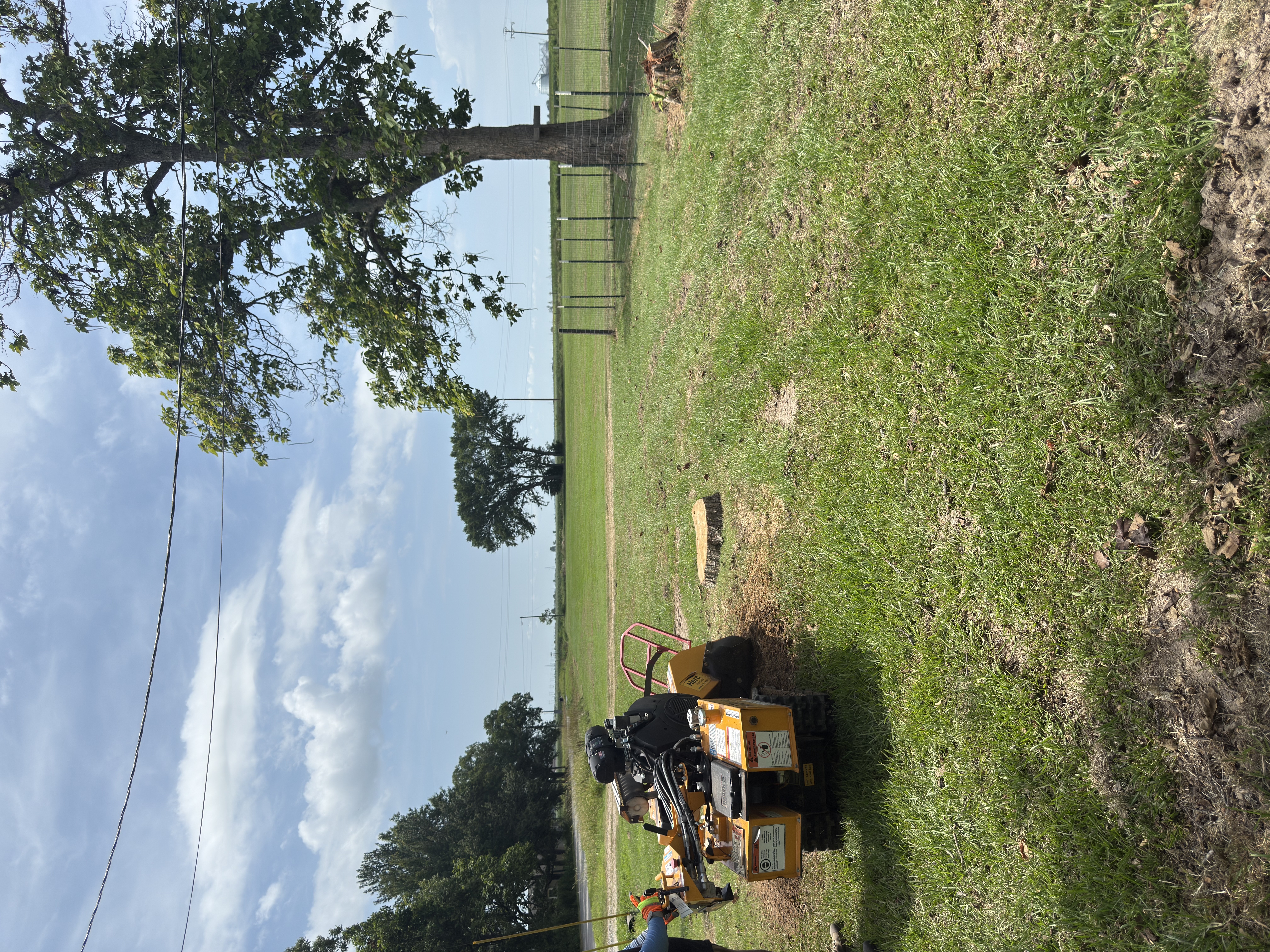 Image of FIVE ROOTS TREE SERVICE in Warren