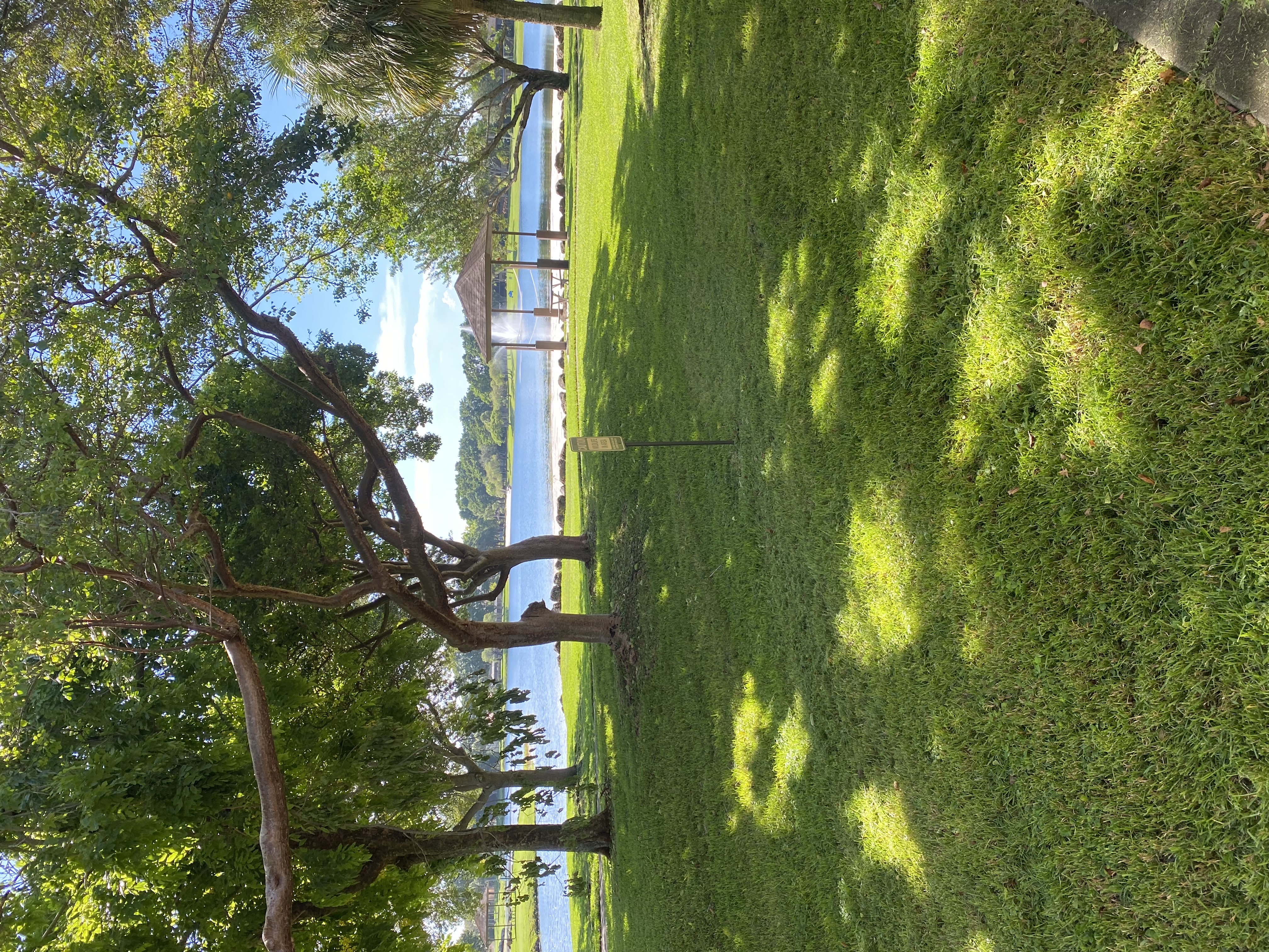 Image of EverLux Landscaping in Fort Lauderdale