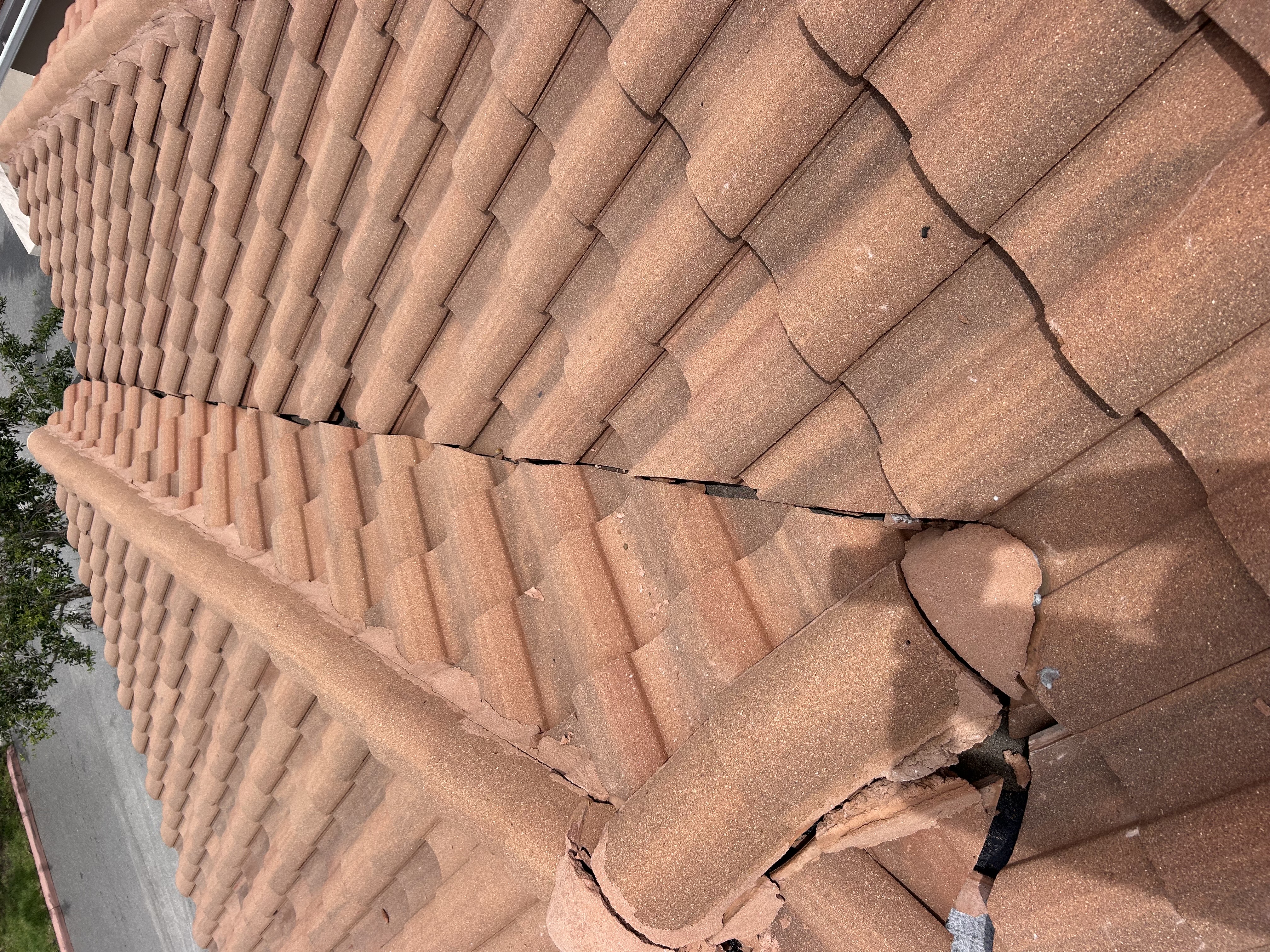 Image of roofing in Tampa