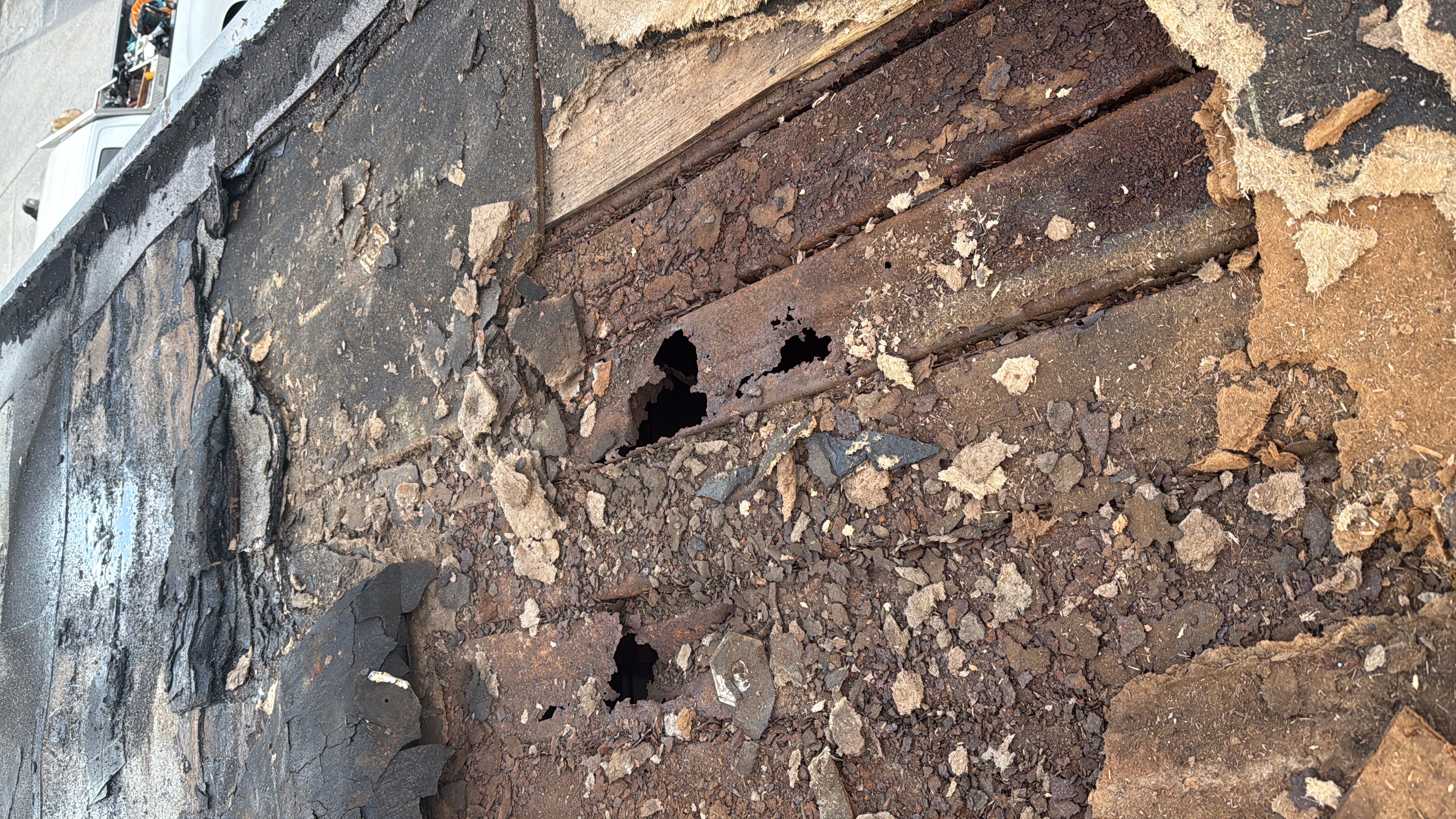 Image of Flat Ree-Roof  in davenport