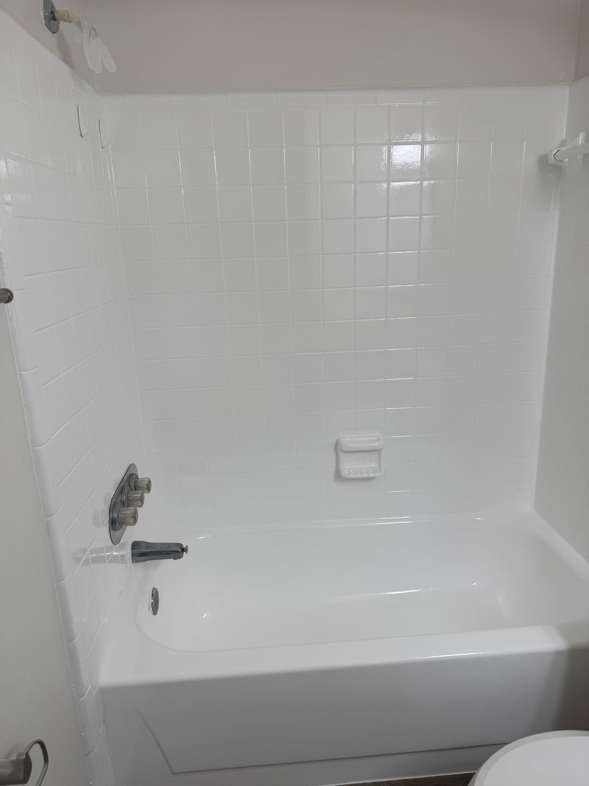 Image of Refinishing in Tampa