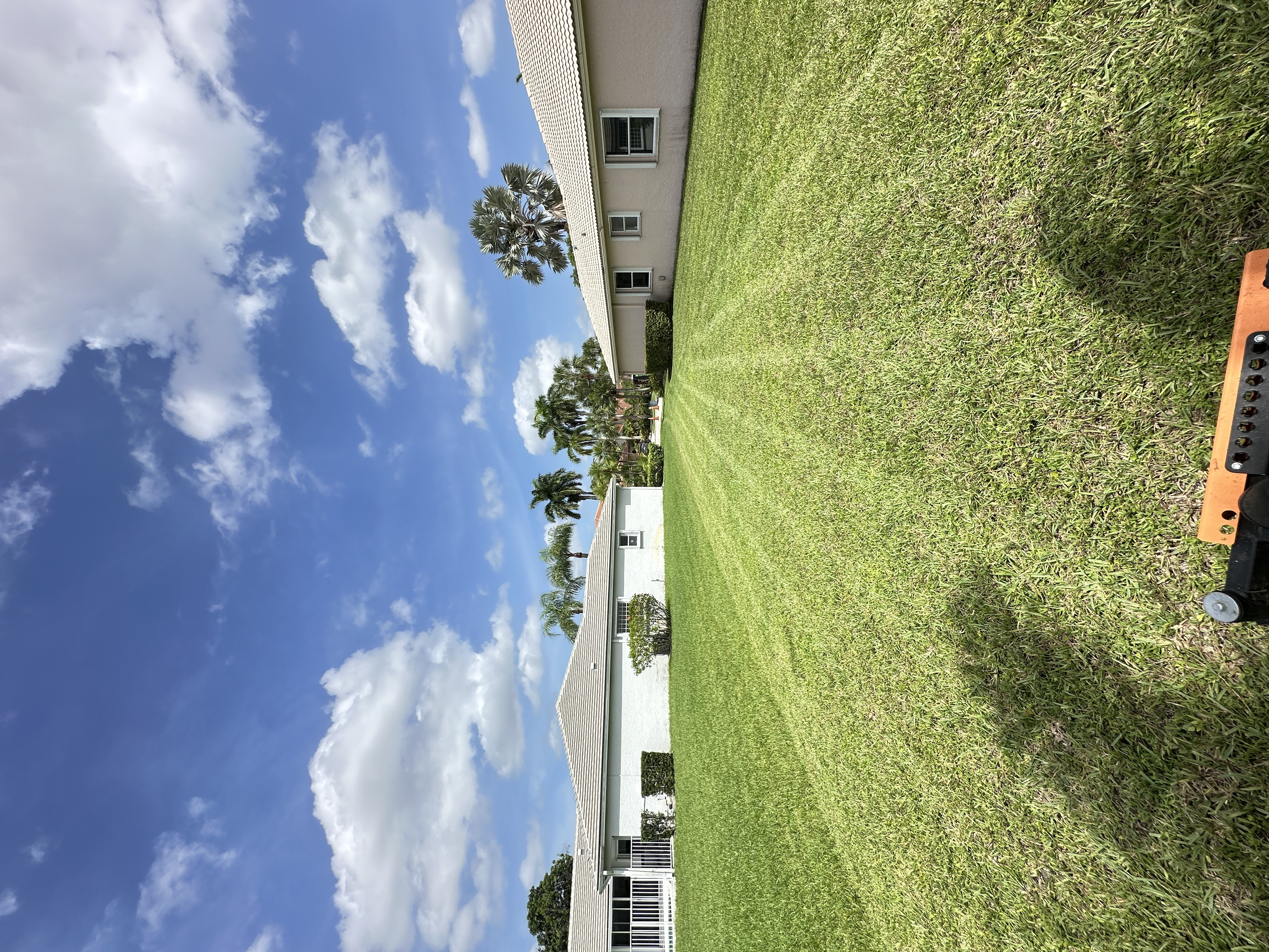 Image of Tree Services in Miami
