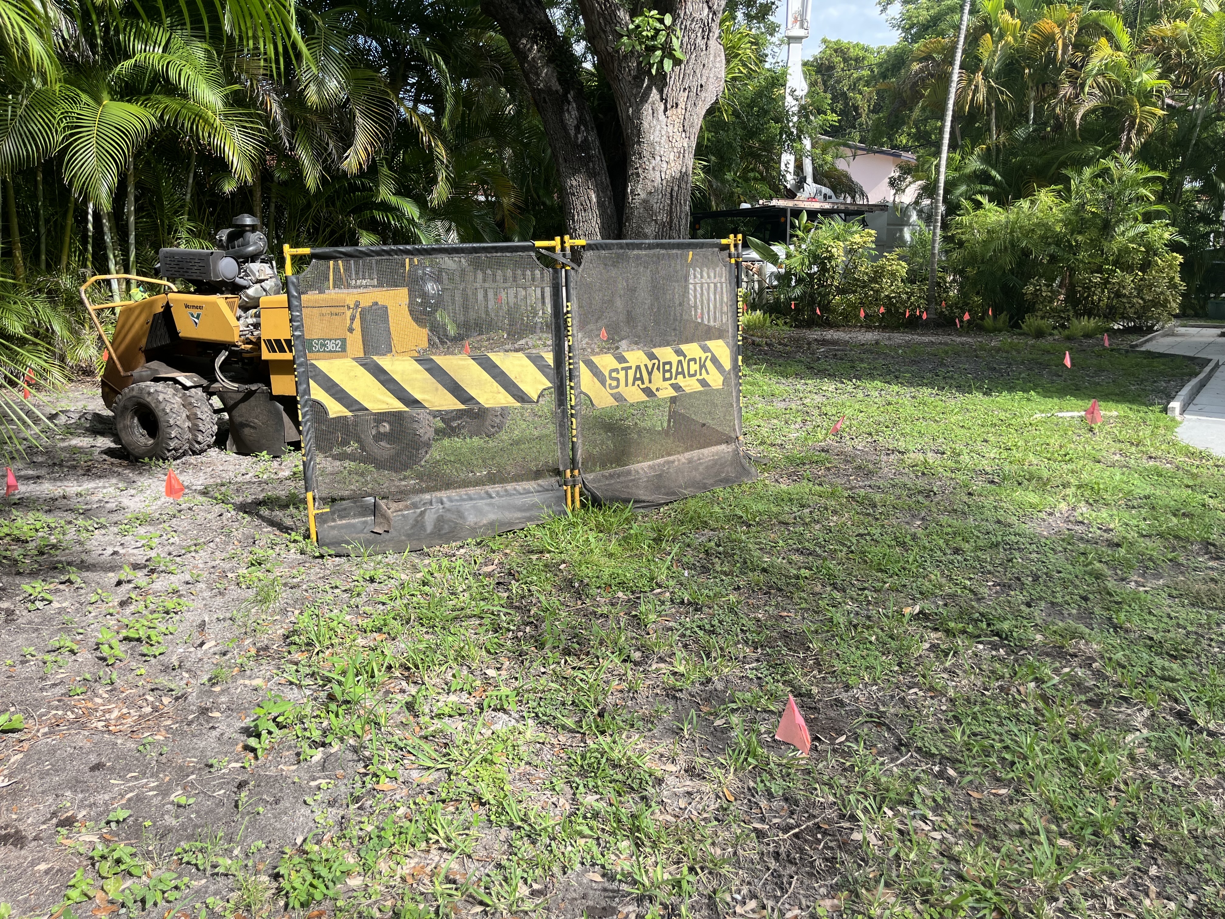 Image of TREE SERVICE 🌳 in Miami